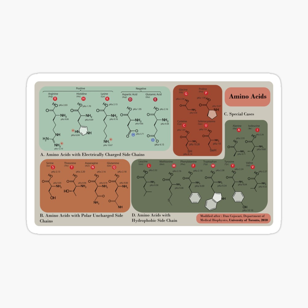 Chemistry  Mouse Pad