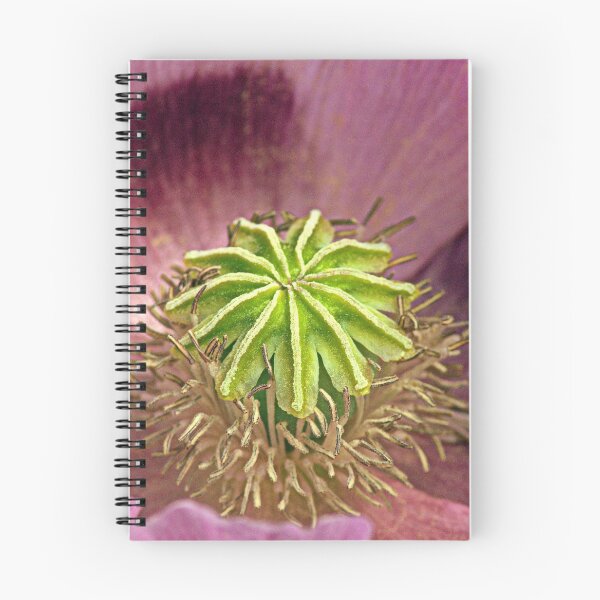 Item preview, Single Poppy Flower, Close-up. designed and sold by Billlee.
