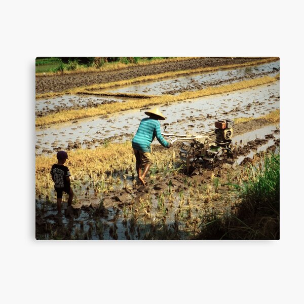 Following in Father's Footsteps Canvas Print