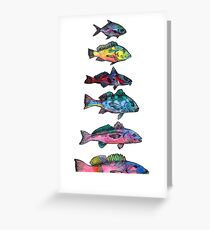Fish, Fish, Fish Greeting Card