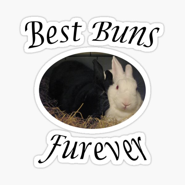 Best Bunnies furever Sticker