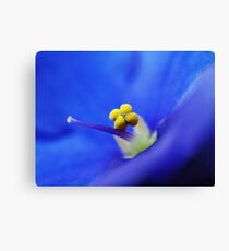 Violets are blue!! Canvas Print