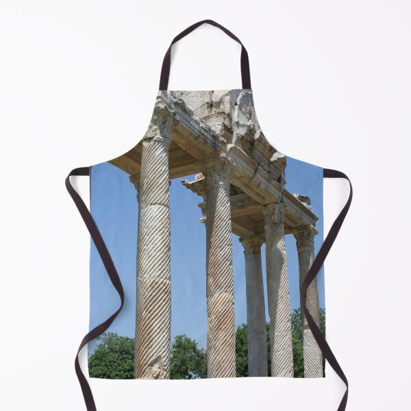 Item preview, The Western Pediment of the Tetrapylon designed and sold by taiche.