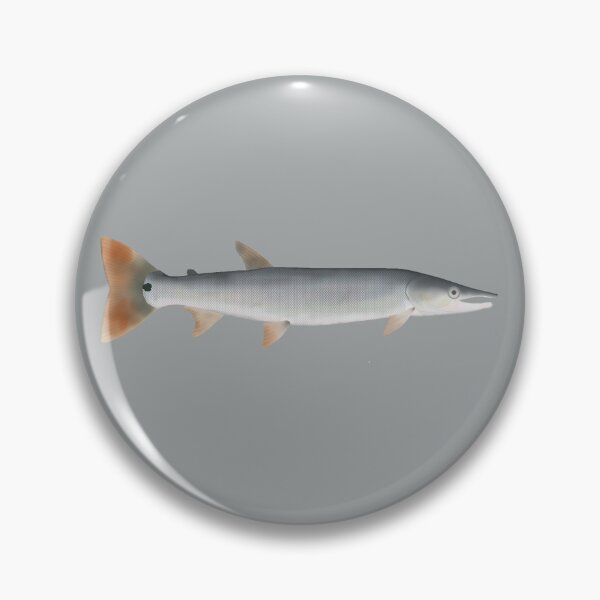 Item preview, Bicuda designed and sold by fishfolkart.