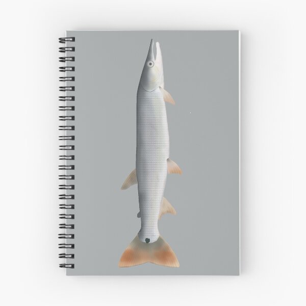 Item preview, Bicuda designed and sold by fishfolkart.