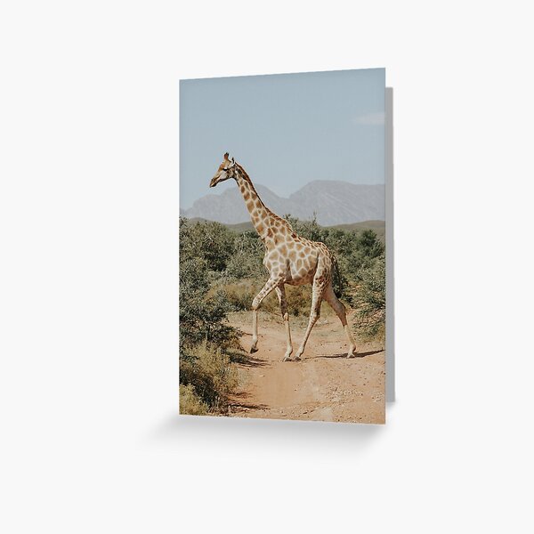 GIRAFFE IN AFRICA photography image for animal lover Greeting Card