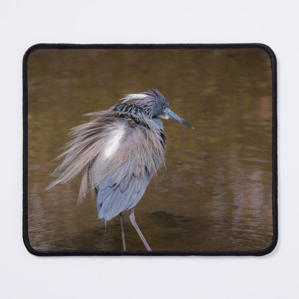 Item preview, Tri-colored Heron Wind Blown designed and sold by Debra Martz.