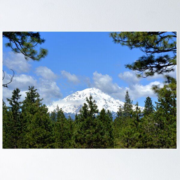 Aperçu de l'œuvre Mont shasta, californie créée et vendue par Thomas Burtney.