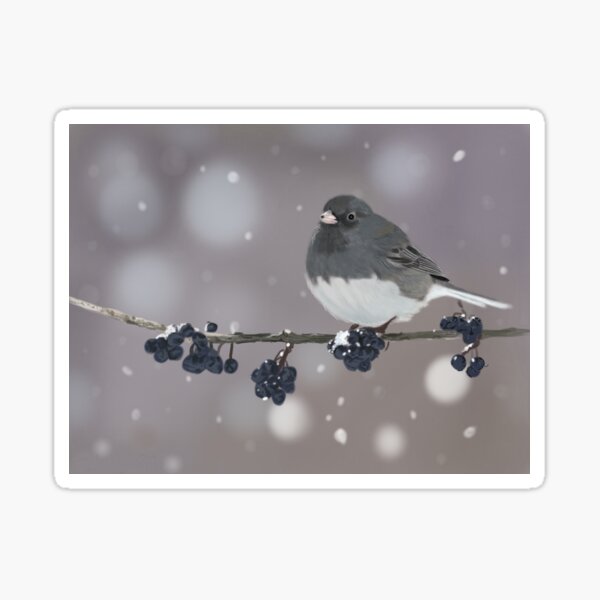 Snow Bird Sticker