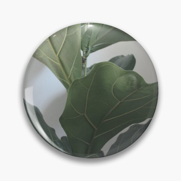 Item preview, Fiddle Leaf Fig Photograph designed and sold by Agneslvw.