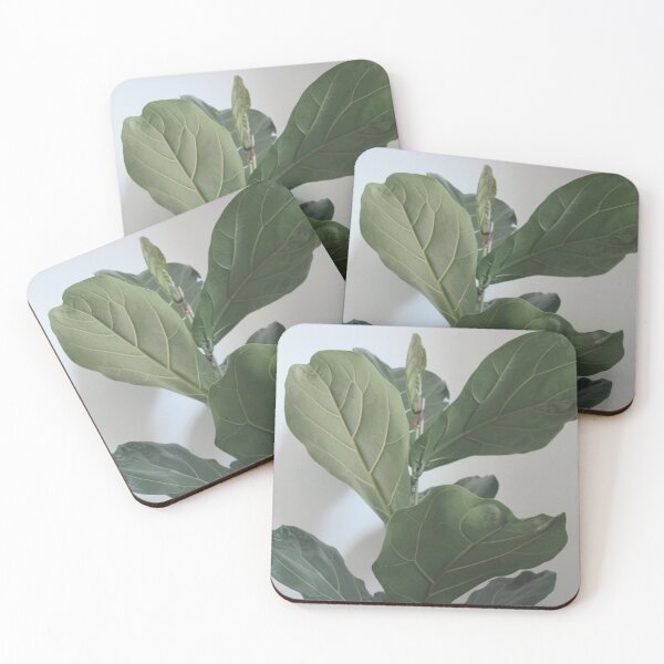 Item preview, Fiddle Leaf Fig Photograph designed and sold by Agneslvw.