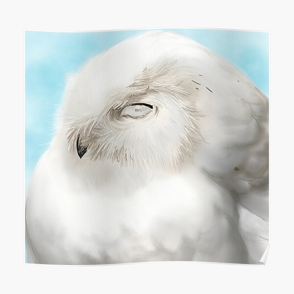 Happy Snowy Owl Poster