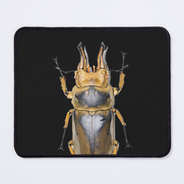 Item preview, The Beetles designed and sold by gustavomaauwjy.