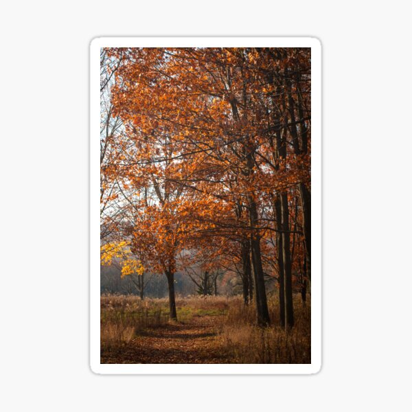 Fall Leaves Sticker