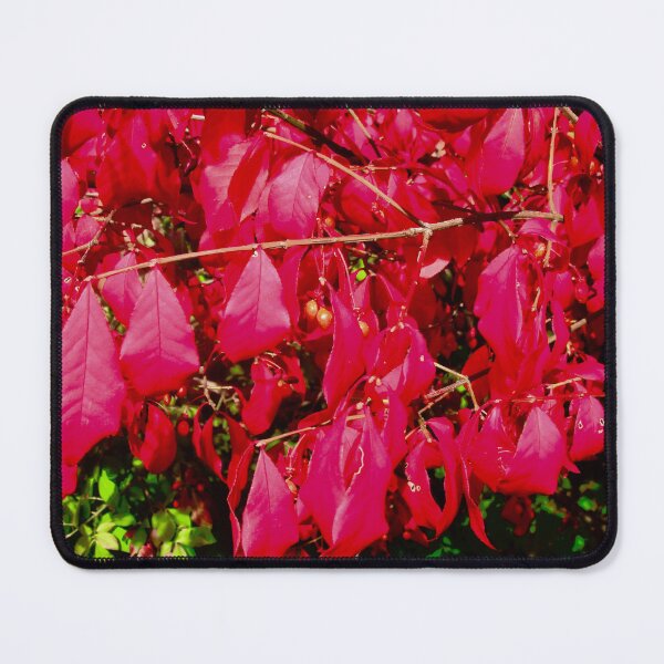 Item preview, Brilliant red leaves designed and sold by Shulie1.