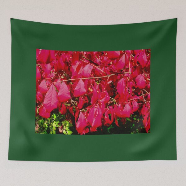 Item preview, Brilliant red leaves designed and sold by Shulie1.
