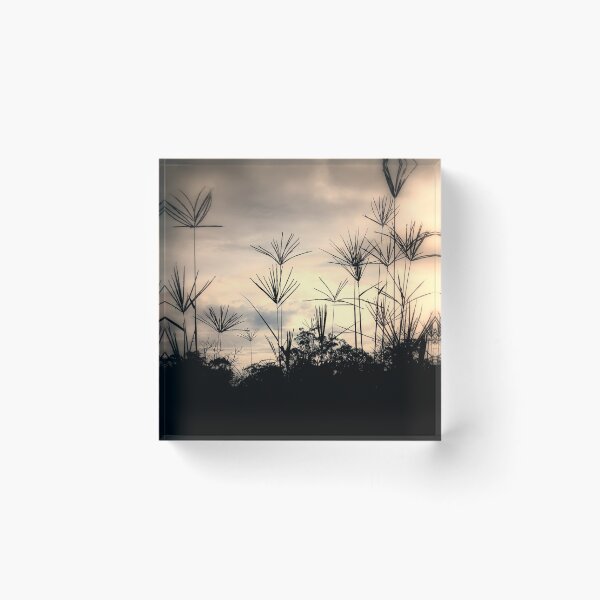 Item preview, Grass silhouetted against pink sky designed and sold by jaynerushton.