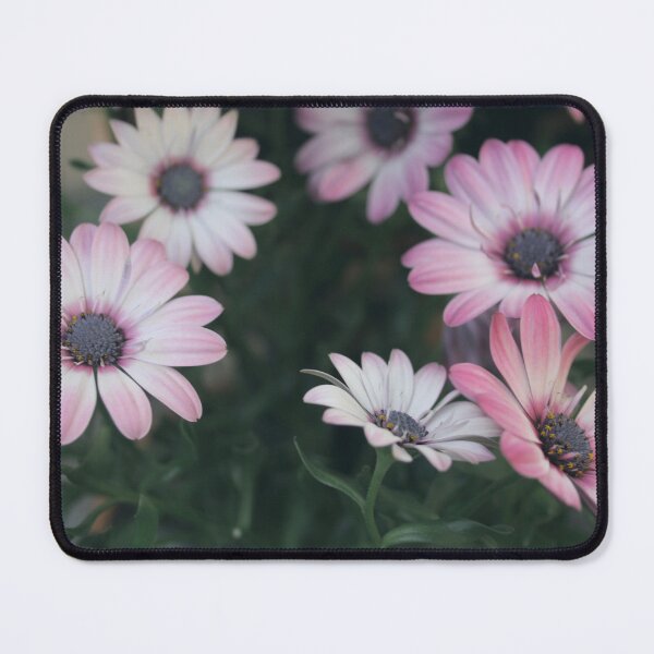 Item preview, Soft pink flowers daisy designed and sold by Agneslvw.