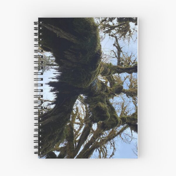 Item preview, Mossy Tree in the Oregon Sky designed and sold by ForscarlettPub.