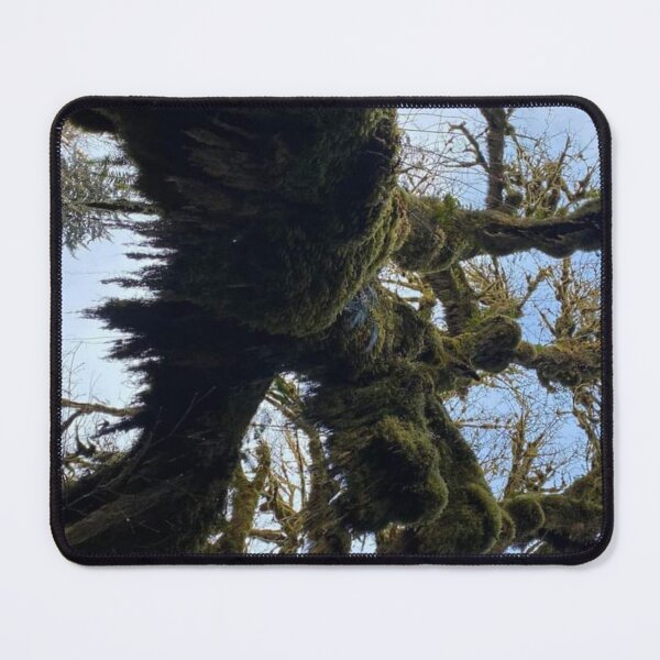 Item preview, Mossy Tree in the Oregon Sky designed and sold by ForscarlettPub.