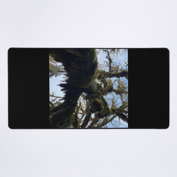 Item preview, Mossy Tree in the Oregon Sky designed and sold by ForscarlettPub.
