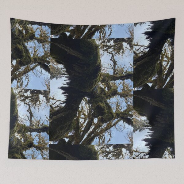 Item preview, Mossy Tree in the Oregon Sky designed and sold by ForscarlettPub.