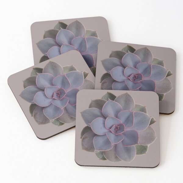 Item preview, Succulent Echeveria Perle Von Nurnberg - for every succulent lover  designed and sold by Hito-desu.