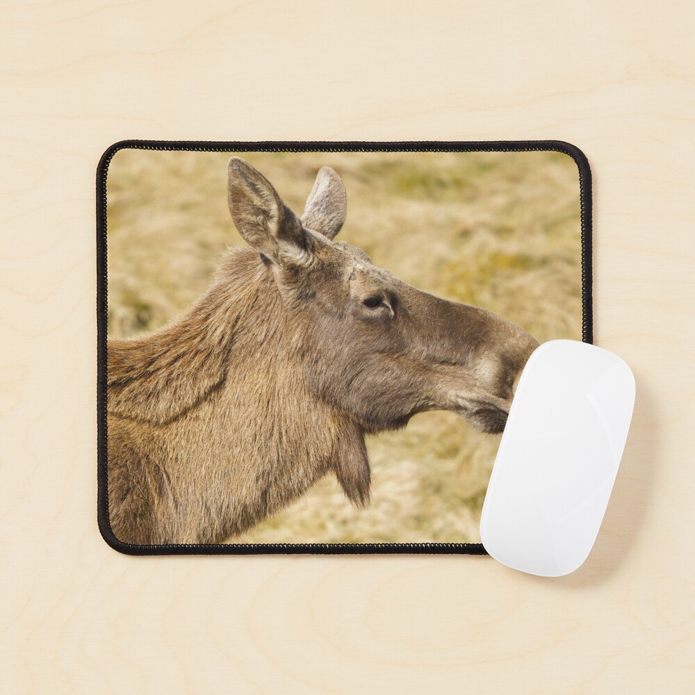 Item preview, Mouse Pad designed and sold by rawshutterbug.