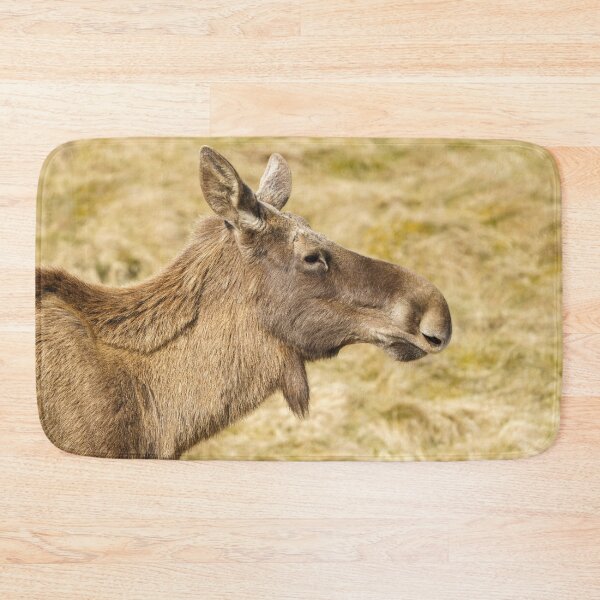 Item preview, European Moose designed and sold by rawshutterbug.