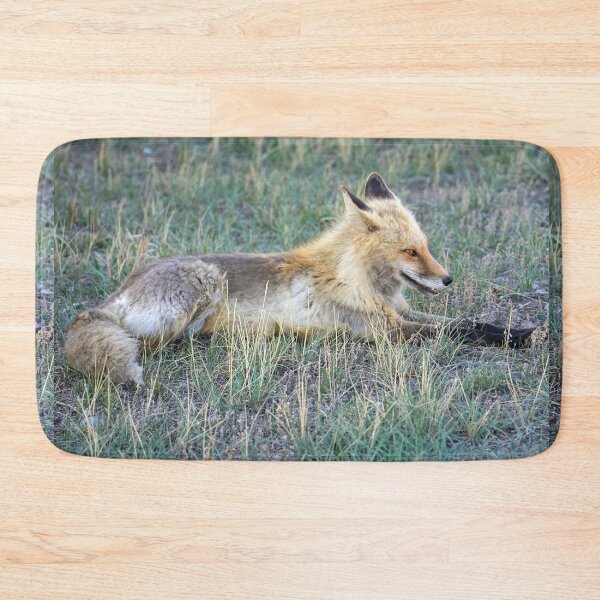 Item preview, Fox designed and sold by Betsy Seeton.