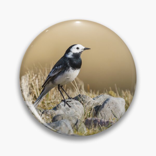 Item preview, Posing Wagtail designed and sold by rawshutterbug.