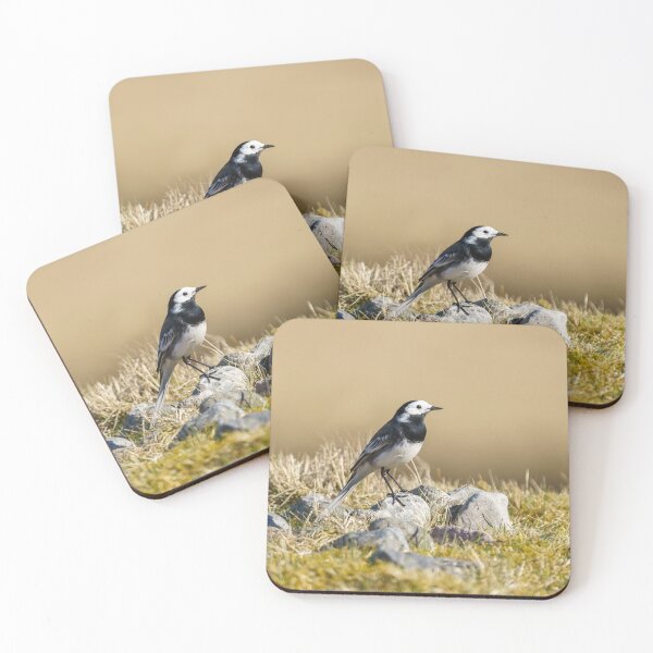 Item preview, Posing Wagtail designed and sold by rawshutterbug.