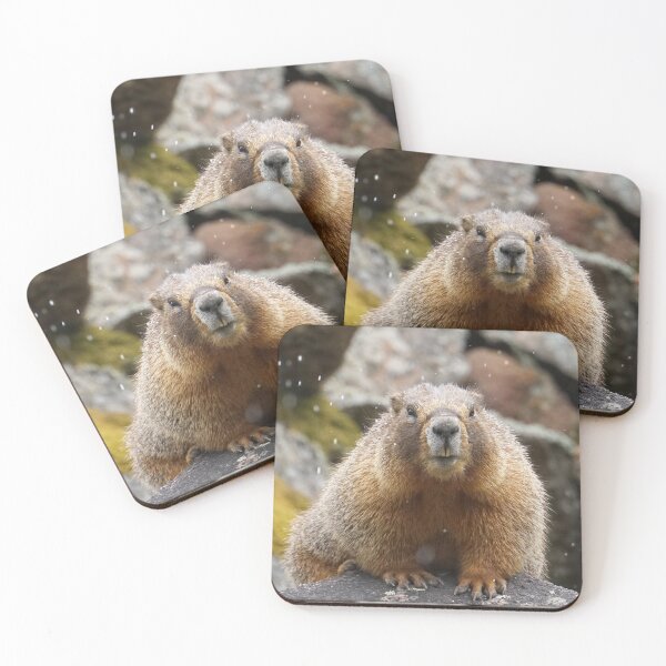 Item preview, Snowing on a Colorado Marmot  designed and sold by Betsy Seeton.