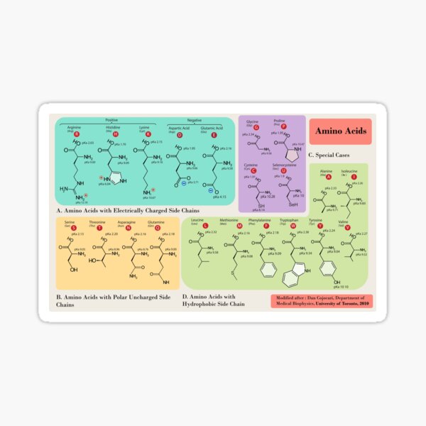 Item preview, Copie de Amino Acids designed and sold by PasParfaite.