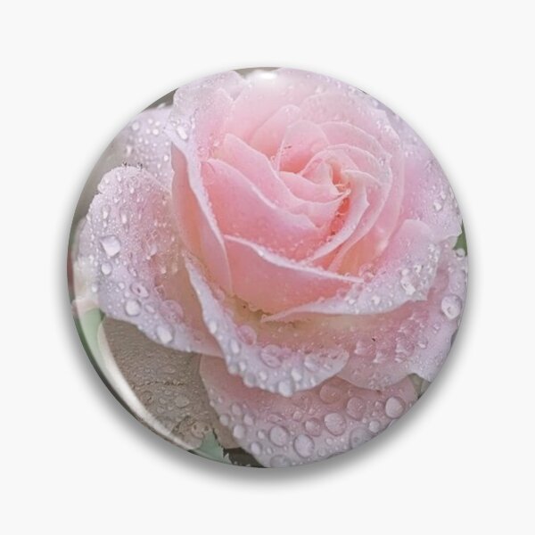 Artikelvorschau, Zarte Rose entworfen und verkauft von FloranceR.