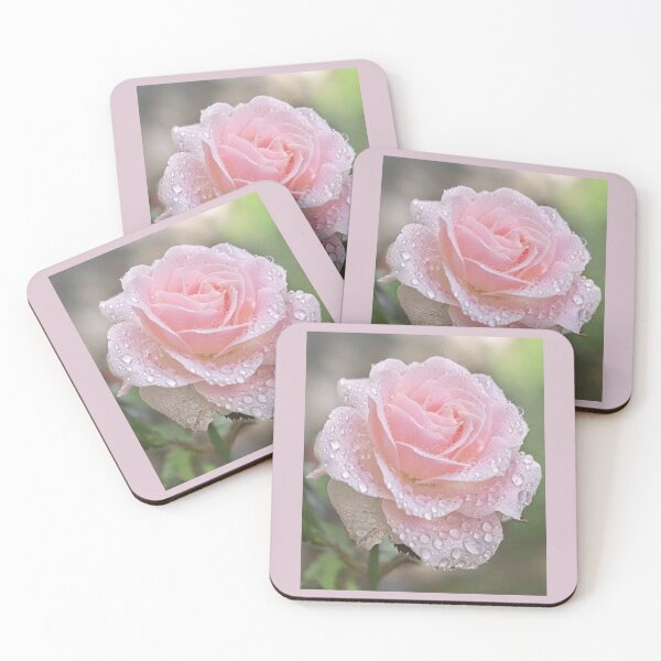 Item preview, Delicate Rose designed and sold by FloranceR.