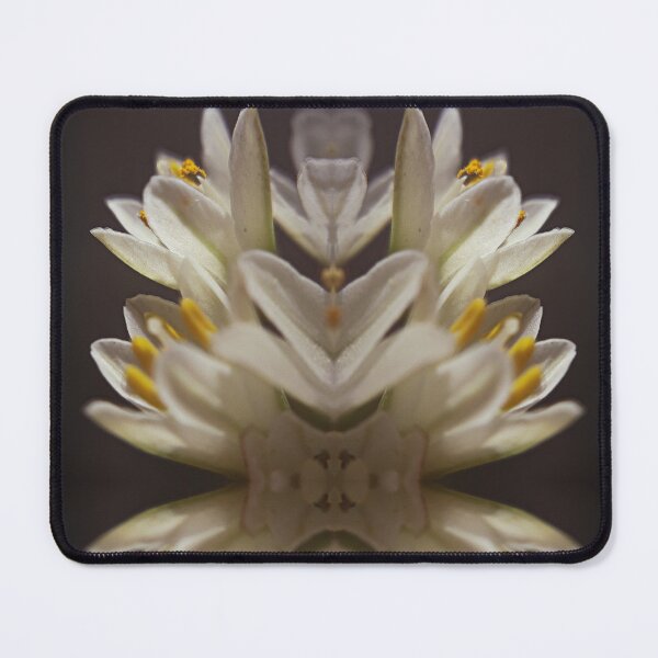 Item preview, NS Summer Beauty AIIM.© designed and sold by OmarHernandez.