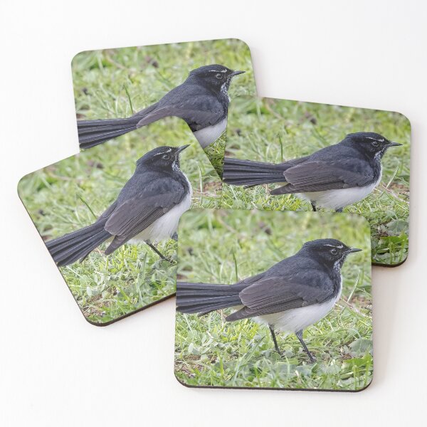 Item preview, Willy Wagtail 10 designed and sold by GaryParnell.