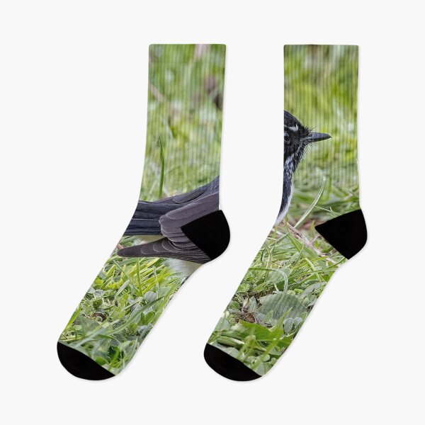 Item preview, Willy Wagtail 10 designed and sold by GaryParnell.
