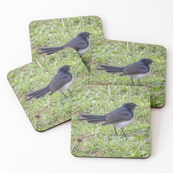 Item preview, Willy Wagtail (Rhipidura leucophrys) 09 designed and sold by GaryParnell.