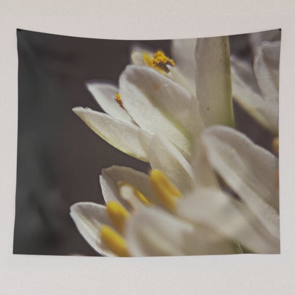 Item preview, NS Summer Beauty AI.© designed and sold by OmarHernandez.