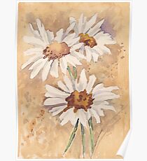Daisies singing in the rain Poster