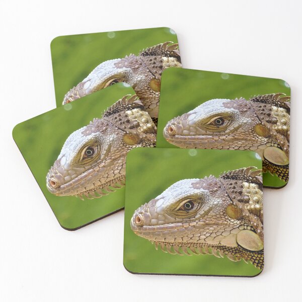 Item preview, Iguana Bust - Beautiful Reptile Photography designed and sold by TheEndlessStore.