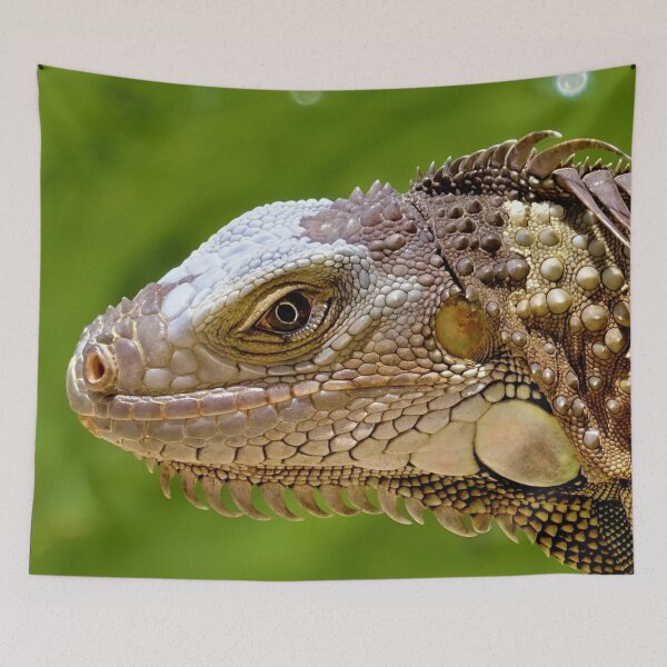 Item preview, Iguana Bust - Beautiful Reptile Photography designed and sold by TheEndlessStore.