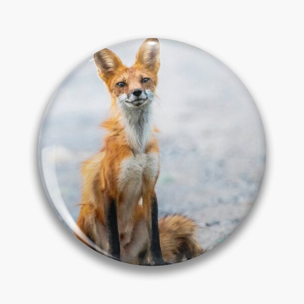 Item preview, Sitting Around Smiling designed and sold by KennyBImages899.