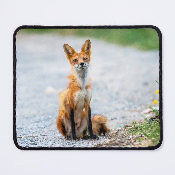 Item preview, Sitting Around Smiling designed and sold by KennyBImages899.