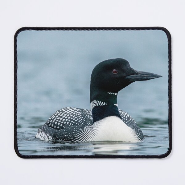 Item preview, Loon designed and sold by KennyBImages899.