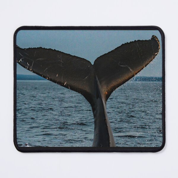 Item preview, High Five designed and sold by KennyBImages899.