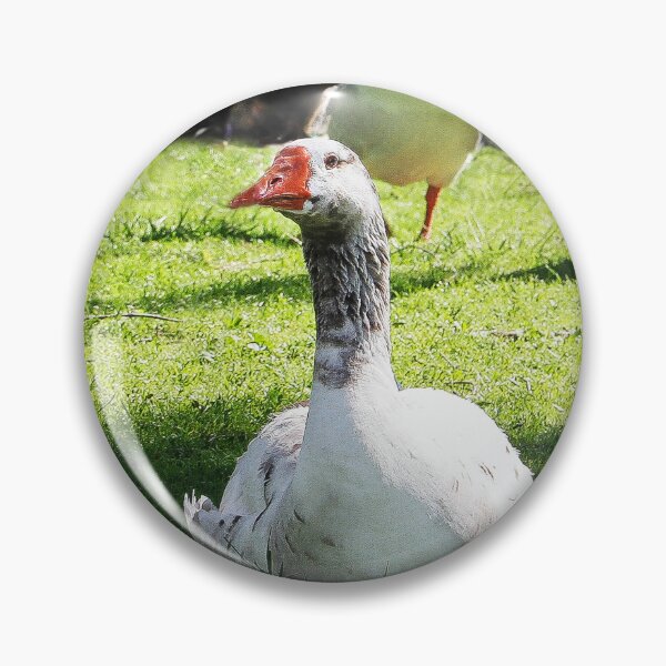 Item preview, The Park Greeters, Welcome to Lindo Lake Park! designed and sold by heatherfriedman.