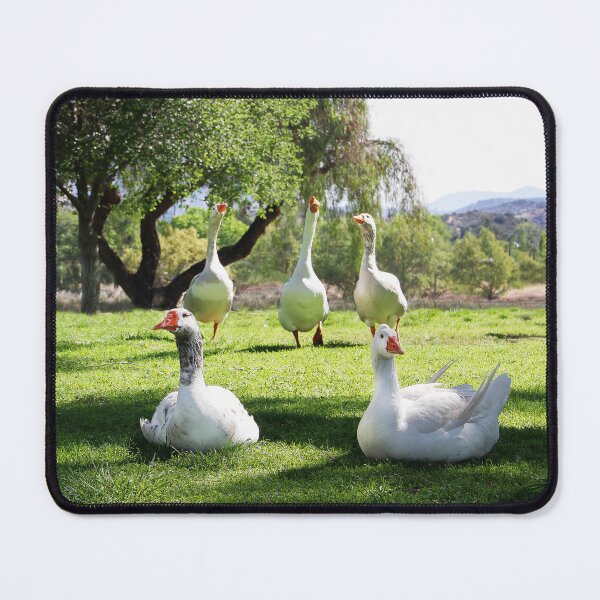 Item preview, The Park Greeters, Welcome to Lindo Lake Park! designed and sold by heatherfriedman.